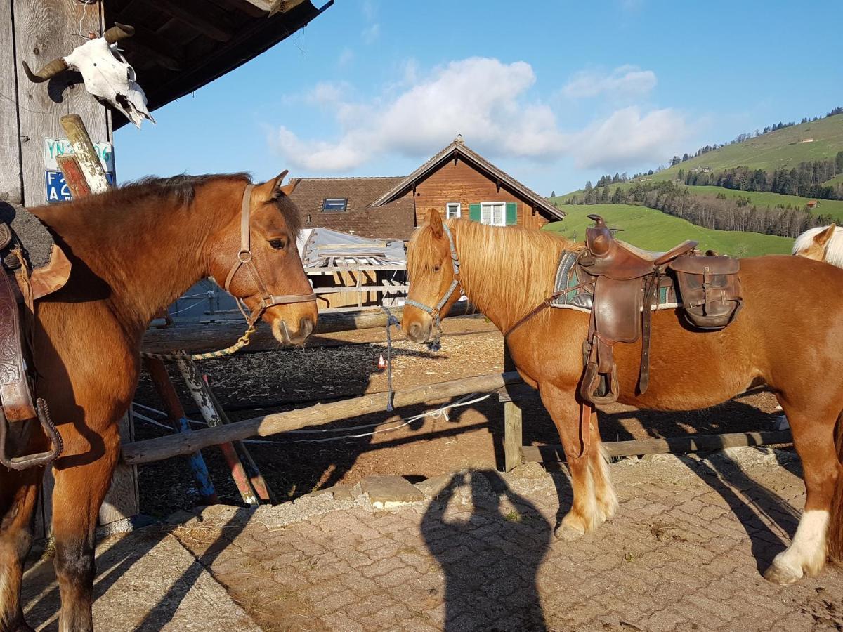 Beaver Creek Ranch Rothenthurm Exteriör bild
